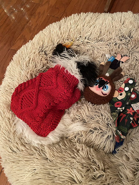 Puppy’s First Christmas Sweater